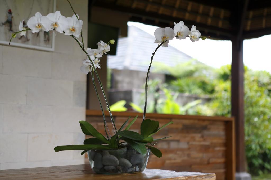 Villa Kayu Lama Убуд Екстериор снимка